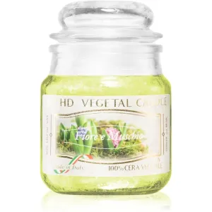 THD Vegetal Fiore E Muschio bougie parfumée 100 g