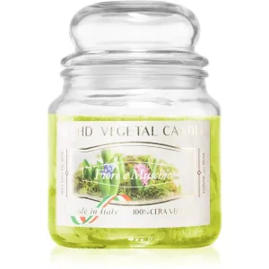 THD Vegetal Fiore E Muschio bougie parfumée 400 g