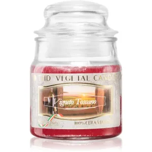 THD Vegetal Vigneto Toscano bougie parfumée 100 g