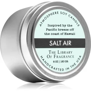 The Library of Fragrance Salt Air bougie parfumée 180 g