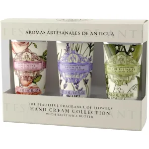 The Somerset Toiletry Co. Aromas Artesanales de Antigua Hand Cream Collection coffret cadeau (mains)