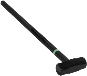 Thorn FIT Sledge Hammer Noir 8 kg