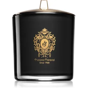 Tiziana Terenzi Black Fire bougie parfumée avec mèche en bois 900 g