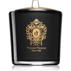 Tiziana Terenzi Ebony & Teck bougie parfumée avec mèche en bois 500 g