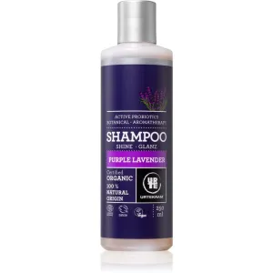 Urtekram Purple Lavender shampoing pour cheveux normaux à secs 250 ml