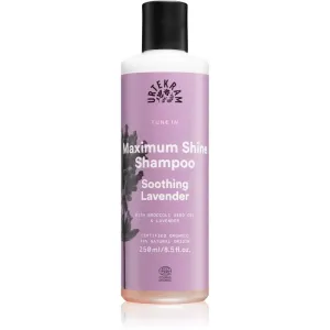 Urtekram Soothing Lavender shampoing apaisant pour des cheveux brillants et doux 250 ml