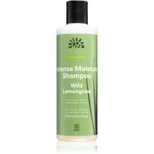 Urtekram Wild Lemongrass shampoing pour cheveux normaux à secs 250 ml