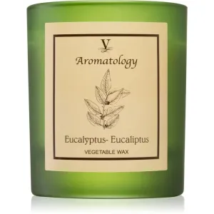 Vila Hermanos Aromatology Eucalyptus bougie parfumée 200 g