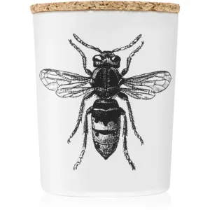 Vila Hermanos Insect Calabrone bougie parfumée 75 g