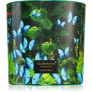 Vila Hermanos Jungletopia Blue Butterfly bougie parfumée 620 g