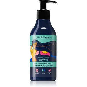 Vis Plantis Gift of Nature après-shampoing nettoyant pour cheveux gras 300 ml