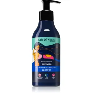 Vis Plantis Gift of Nature après-shampoing régénérant pour cheveux secs 300 ml