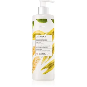 Vis Plantis Herbal Vital Care Pumpkin Seed Oil après-shampoing traitant pour cheveux abîmés 400 ml