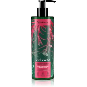 Vis Plantis Herbal Vital Care Rosemary après-shampoing doux pour cheveux qui deviennent gras très vite 400 ml #115282