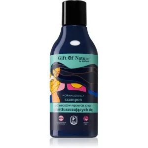Vis Plantis Gift of Nature shampoing pour cheveux gras 300 ml