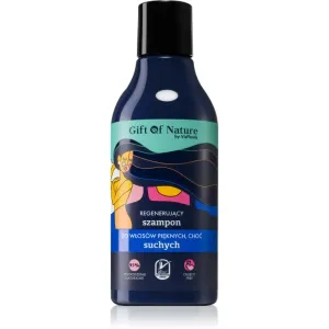 Vis Plantis Gift of Nature shampoing régénérant pour cheveux secs 300 ml