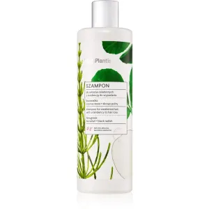 Vis Plantis Herbal Vital Care Fenugreek shampoing fortifiant pour les cheveux affaiblis ayant tendance à tomber 400 ml #115277
