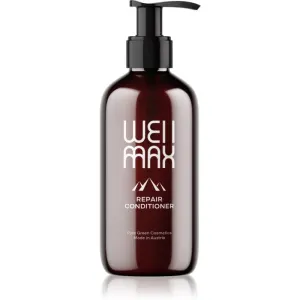 WellMax Repair Conditioner après-shampoing régénérateur en profondeur 250 ml