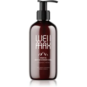 WellMax Men's Shower Gel 3in1 gel de douche pour homme 3 en 1 250 ml