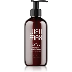 WellMax Herbal Hand Soap savon liquide naturel mains 250 ml