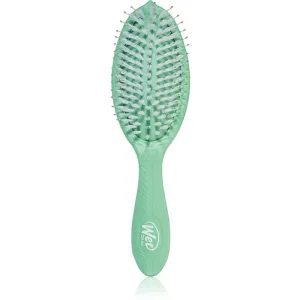 Wet Brush Go Green Treatment And Shine brosse pour des cheveux brillants et doux Tea Tree