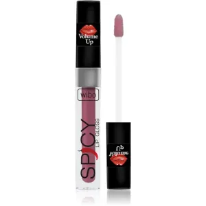 Wibo Lip Gloss Spicy brillant à lèvres volumisant 1 3 ml