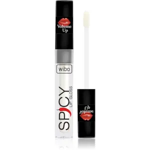 Wibo Lip Gloss Spicy brillant à lèvres volumisant 10 3 ml