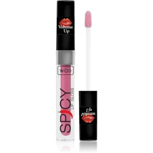 Wibo Lip Gloss Spicy brillant à lèvres volumisant 18 3 ml