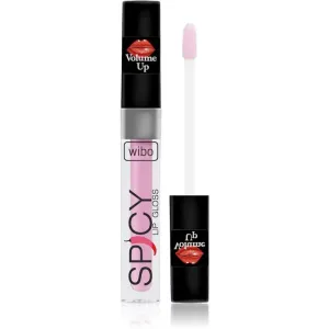 Wibo Lip Gloss Spicy brillant à lèvres volumisant 19 3 ml