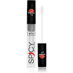 Wibo Lip Gloss Spicy brillant à lèvres volumisant 21 3 ml