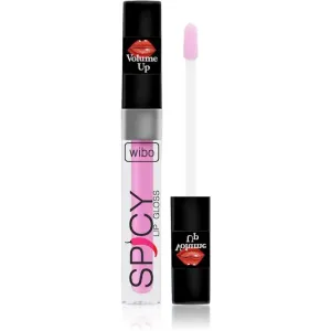 Wibo Lip Gloss Spicy brillant à lèvres volumisant 3 3 ml