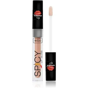 Wibo Lip Gloss Spicy brillant à lèvres volumisant 7 3 ml