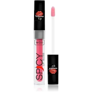 Wibo Lip Gloss Spicy brillant à lèvres volumisant 8 3 ml