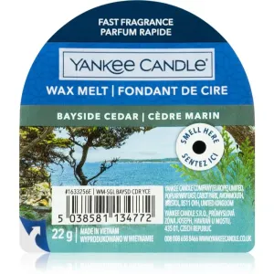 Yankee Candle Bayside Cedar tartelette en cire 22 g