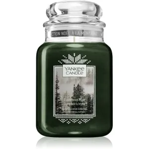 Yankee Candle Evergreen Mist bougie parfumée Classic petite 623 g