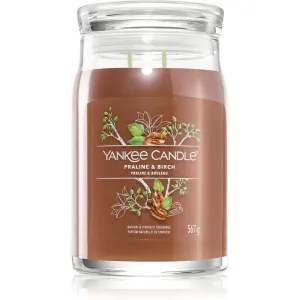 Yankee Candle Praline & Birch bougie parfumée 567 g