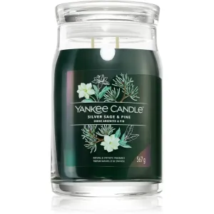 Yankee Candle Silver Sage & Pine bougie parfumée Signature 567 g