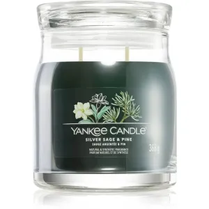 Yankee Candle Silver Sage & Pine bougie parfumée Signature 368 g