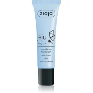 Ziaja Jeju Young Skin correcteur liquide pour un visage parfait teinte Natural 30 ml #121129