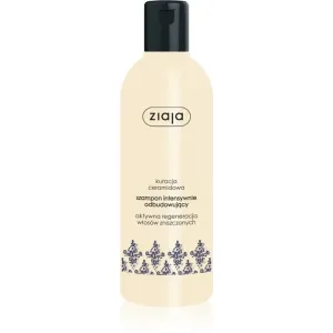 Ziaja Ceramides shampoing régénération intense 300 ml
