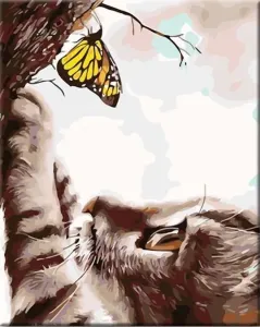 Zuty Peinture par numéros Chaton avec un papillon