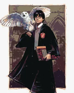 Zuty Peinture par numéros Harry Potter et Hedwige à Poudlard