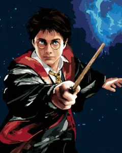 Zuty Peinture par numéros Harry Potter et la baguette